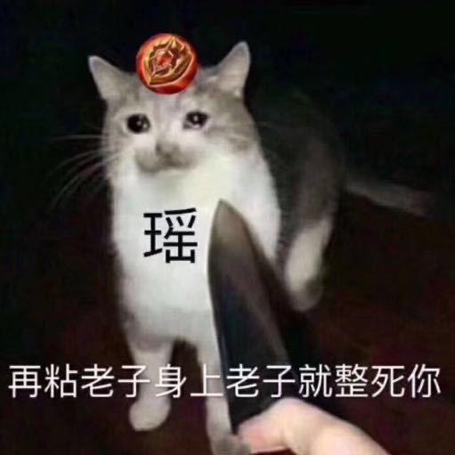 哪个英雄是王者荣耀里的最强辅助