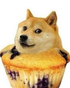 doge表情包微博二楼定律