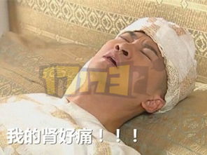 小鹿叨叨谁才是真爱cp
