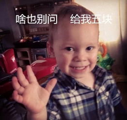 超火的假笑男孩表情你可不可以多见见世面