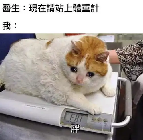 一切都会过去的