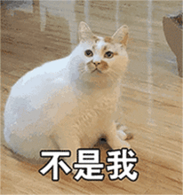 40岁陈乔恩瘦出手掌腰,成功撩到小9岁肌肉男友易胖体质靠这5招