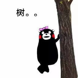 女司机在停车场里转了20多天,还交了2000元停车费,竟然是在找