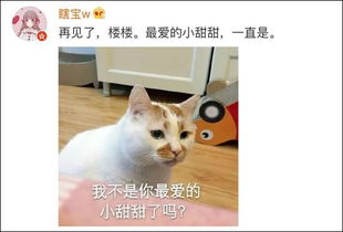 我今天还在用的表情包,它昨天去世了