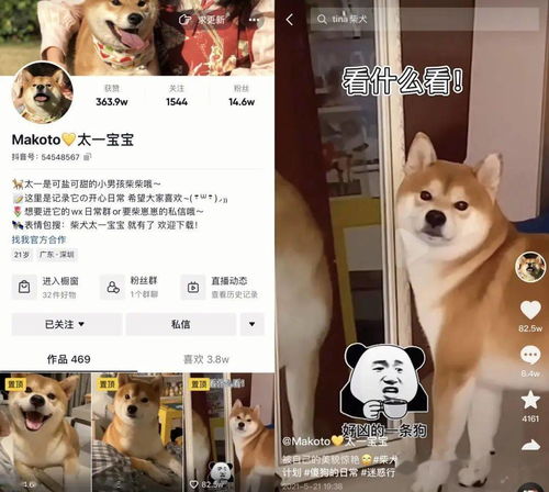 每天都在用的表情包,竟然是一个百大up主