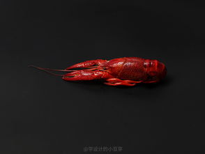 小龙虾表情包,摄影后期手绘创意分享,ps前后对比图