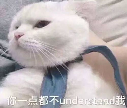 陪娃一整天不如别人1小时掌握这三个原则,给孩子高质量的陪伴