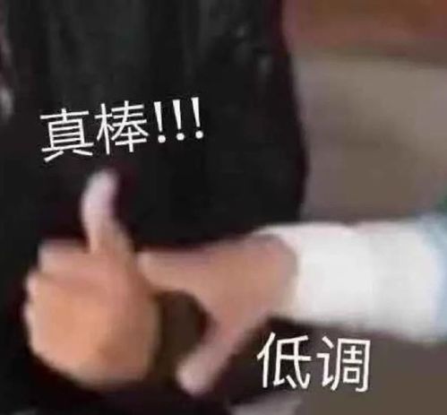 实踩在增城,什么样的楼盘可以卖到近4万㎡