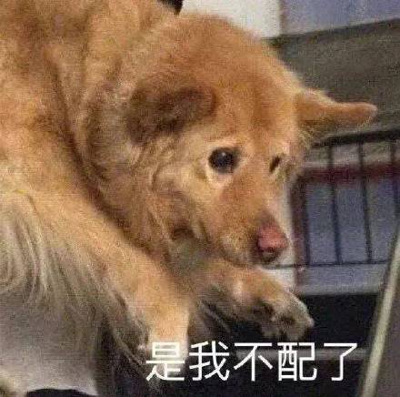 海绵宝宝抛洒爱心海绵宝宝派大星表情包第一弹