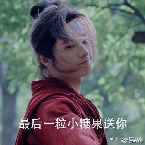 为什么杨洋再怎么努力,还是被骂