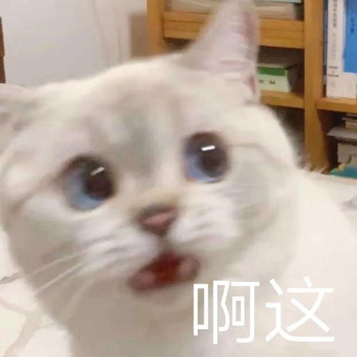 遇之欢喜英语学业科研发展中心sis部门介绍