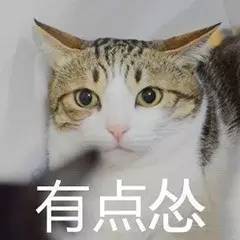 萌宠明明说好一起胖,你却偷偷在减肥果然贱人就是较轻