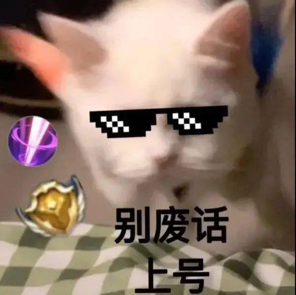 猫猫王者荣耀表情包