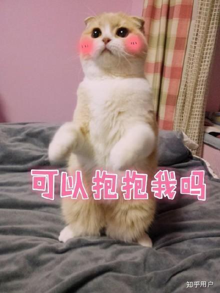 红包表情包可爱幽默段子