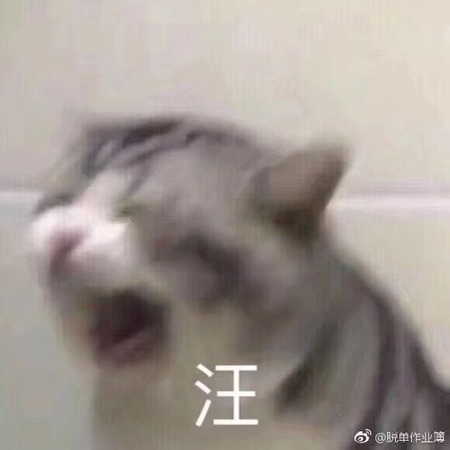 哈哈大笑表情包动图厚大司考