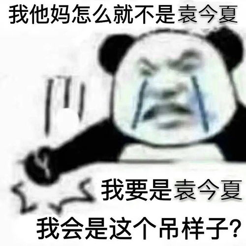 我的收藏