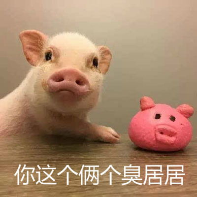 臭居居是什么意思