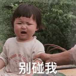 表情包你这是跟我表白吗