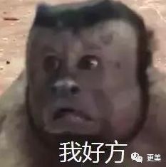 一周颜值红黑榜神颜雪莉胖成饼脸蒋欣,刘亦菲瘦身成果惊人