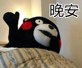 今日表情推荐,125