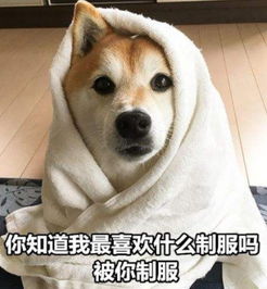 直男都是大猪蹄子学会土味情话后,女友这还是我的傻直男吗