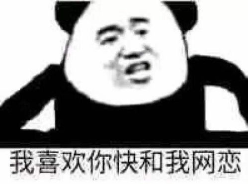 平凉斗图表情包家庭作业