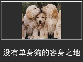 表情包怎样下载狗狗