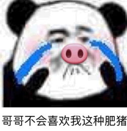 近期斗图表情包精选201927