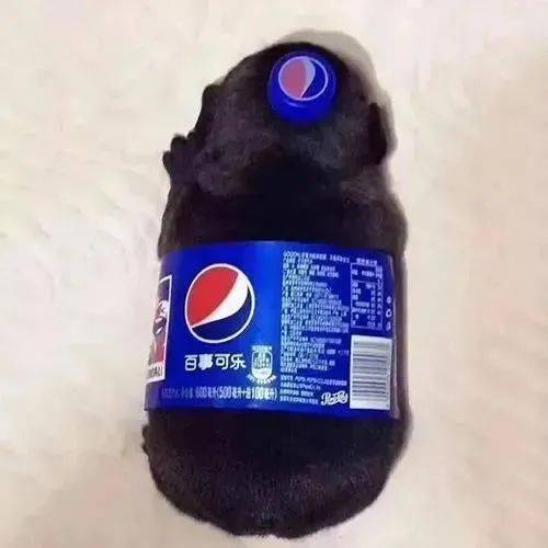 110张超甜超污情侣头像,保你喜欢哟