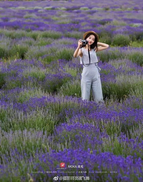 西安美女和浪漫薰衣草在一起的写真照,你喜欢么