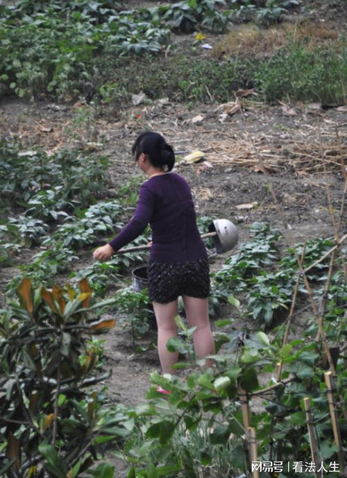 78岁老头欲强奸40岁农村妇女他是如何做到的