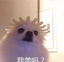 搞笑表情包20p,让你开心一整天