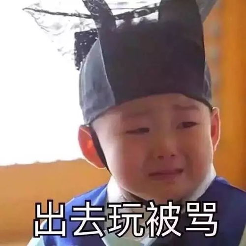 叹气表情包被子