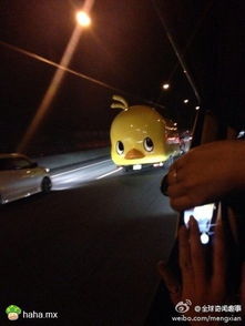 小苦怜儿司机师傅都不忍心...哈哈.mx