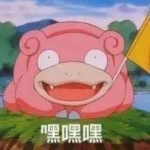 又憨又可爱呆呆兽表情包,女孩子必备