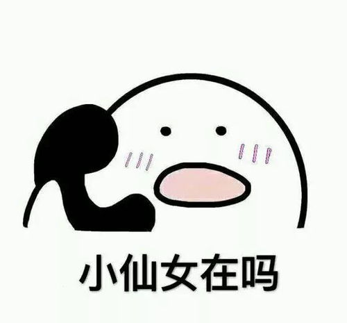 乖巧坐等表情包原图