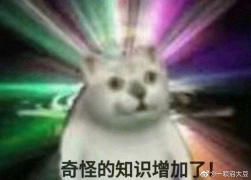 人性