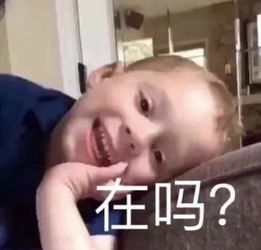 要疯了的表情包什么时候