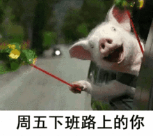 搞笑gif切蛋神器,看得我色色发抖孩子