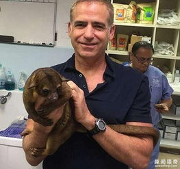 愚昧濒临灭绝的动物被村民当成怪物活活打死