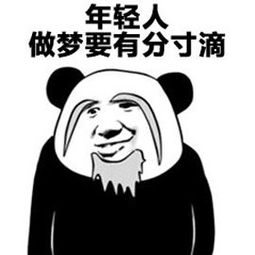 蒙自十二时辰,剧情并不简单