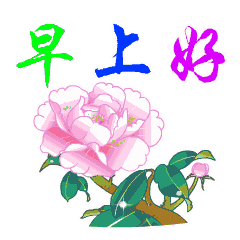 表情包表情动态问候语