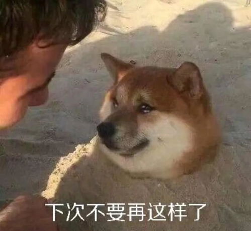 给我看看你的表情包凡尔赛