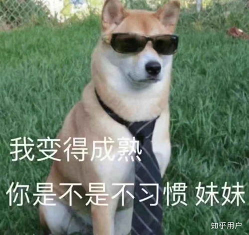 怎么样能把男朋友撩到受不了