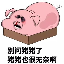 二师兄身价猛涨高攀不起全国猪价持续上浮厦门情况如何
