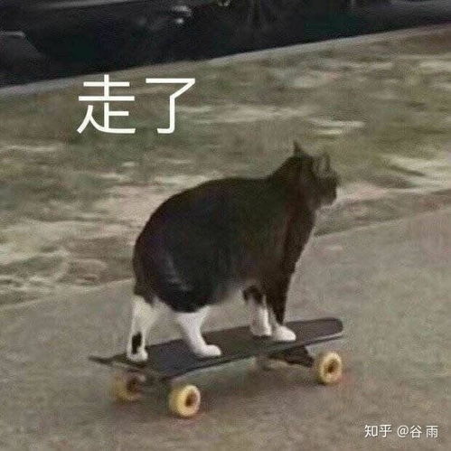 爱奇艺有哪些好看的剧