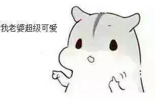 可爱仓鼠夫妇表情包