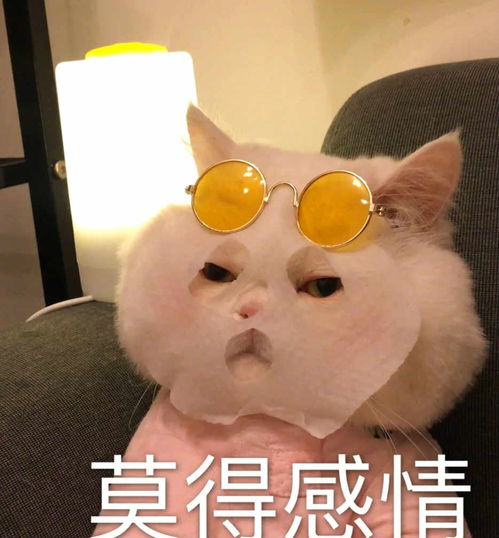姐姐成团素人成团,如今二次元也要成团,绅士们觉得是内味吗