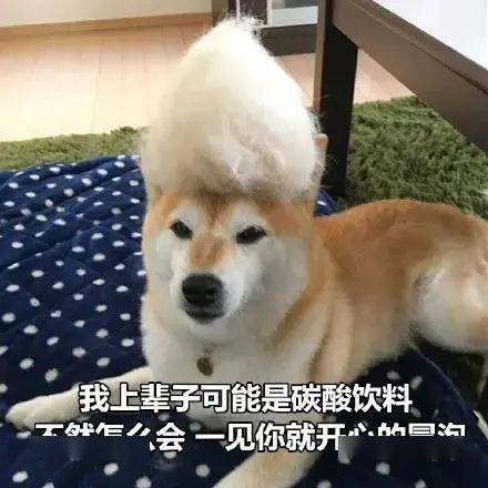 文末有礼七夕套路指南助攻告白时刻