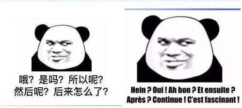 聊天尬住不如回复一个法语表情包